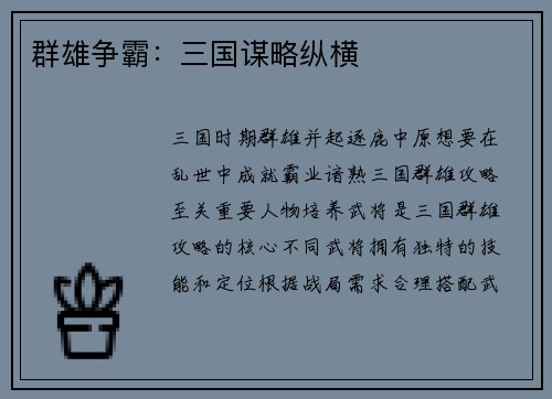 群雄争霸：三国谋略纵横